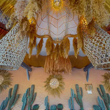 Pino - Villa, Casa, Cucina е Terrazza Albena