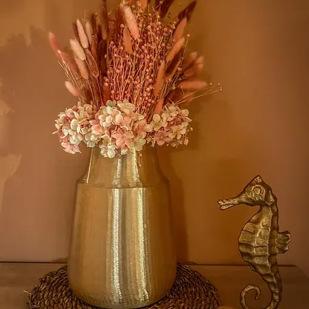 Pensión Pino - Villa, Casa, Cucina е Terrazza