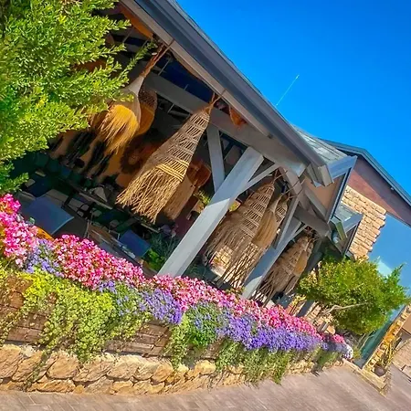 Pino - Villa, Casa, Cucina е Terrazza Gasthuis 4*