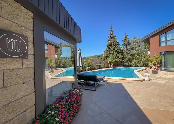 Pino - Villa, Casa, Cucina е Terrazza Albena