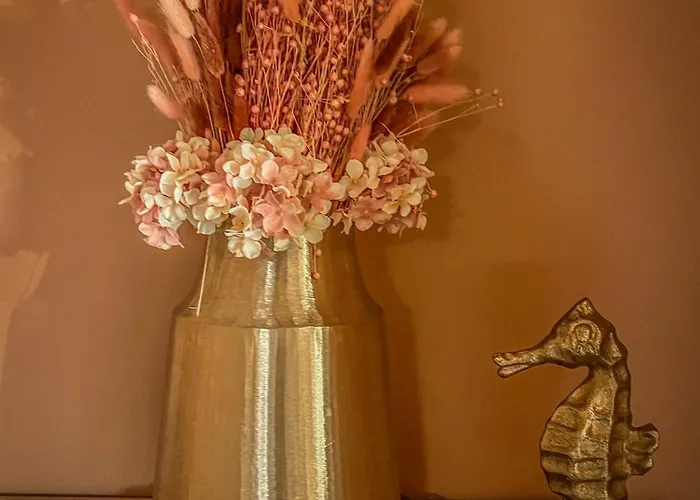 Konukevi Pino - Villa, Casa, Cucina е Terrazza